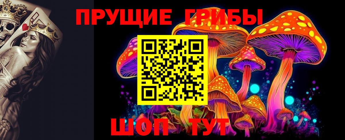 Псилоцибиновые грибы Cubensis  Вход с VPN  Мегион  Галлюциногенные грибы Magic Shrooms 